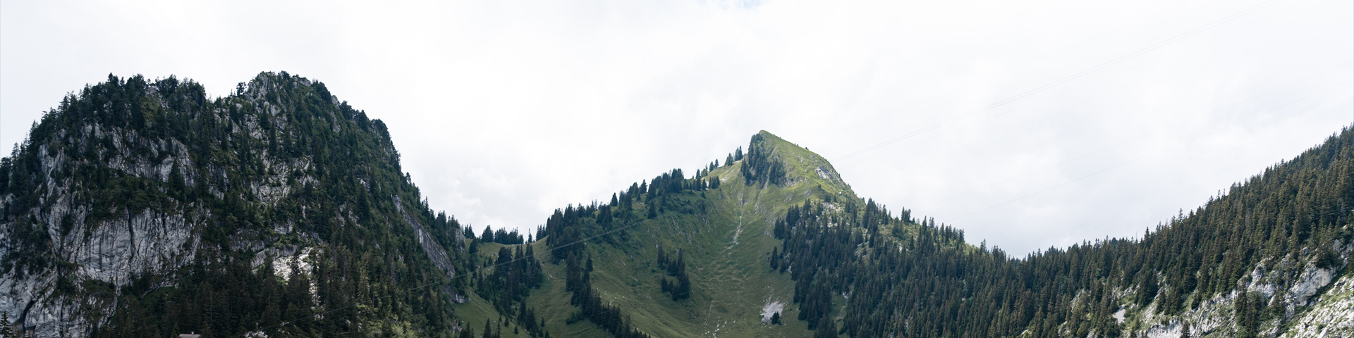 张家界新思路国际旅行社有限公司驻马店第一网点